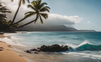 How to Dissolve an LLC in Hawaii