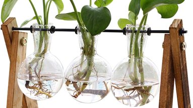 Transform Your Space with the XXXFLOWER Plant Terrarium: A Review of This Stylish Hydroponic Solution