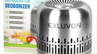 Say Goodbye to Lingering Odors: The 10-Year Refrigerator Deodorizer You Need!